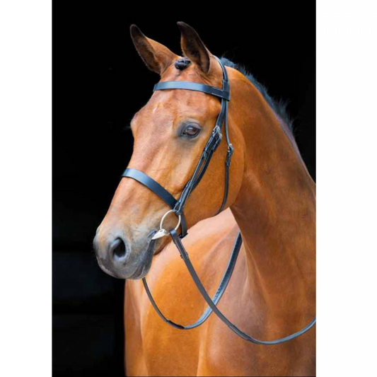 Shires Salisbury Berrington Black Bridle