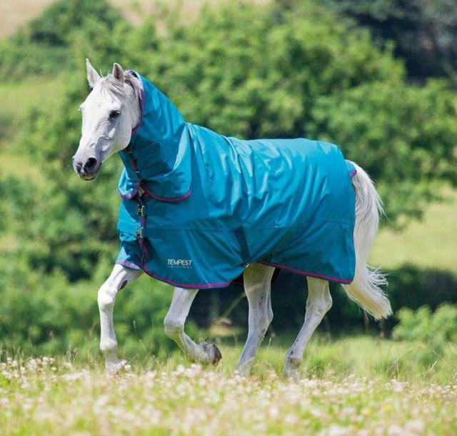 Shires Tempest Original 50g Sea Green/Pink Combo Turnout