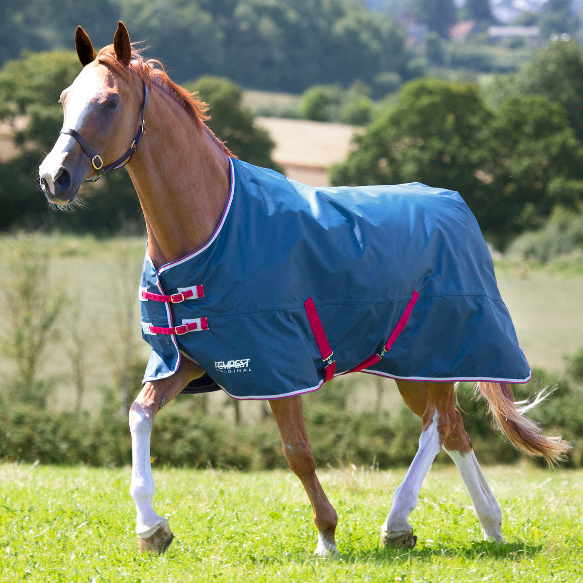 Shires Tempest Original Lite Teal Turnout Rug