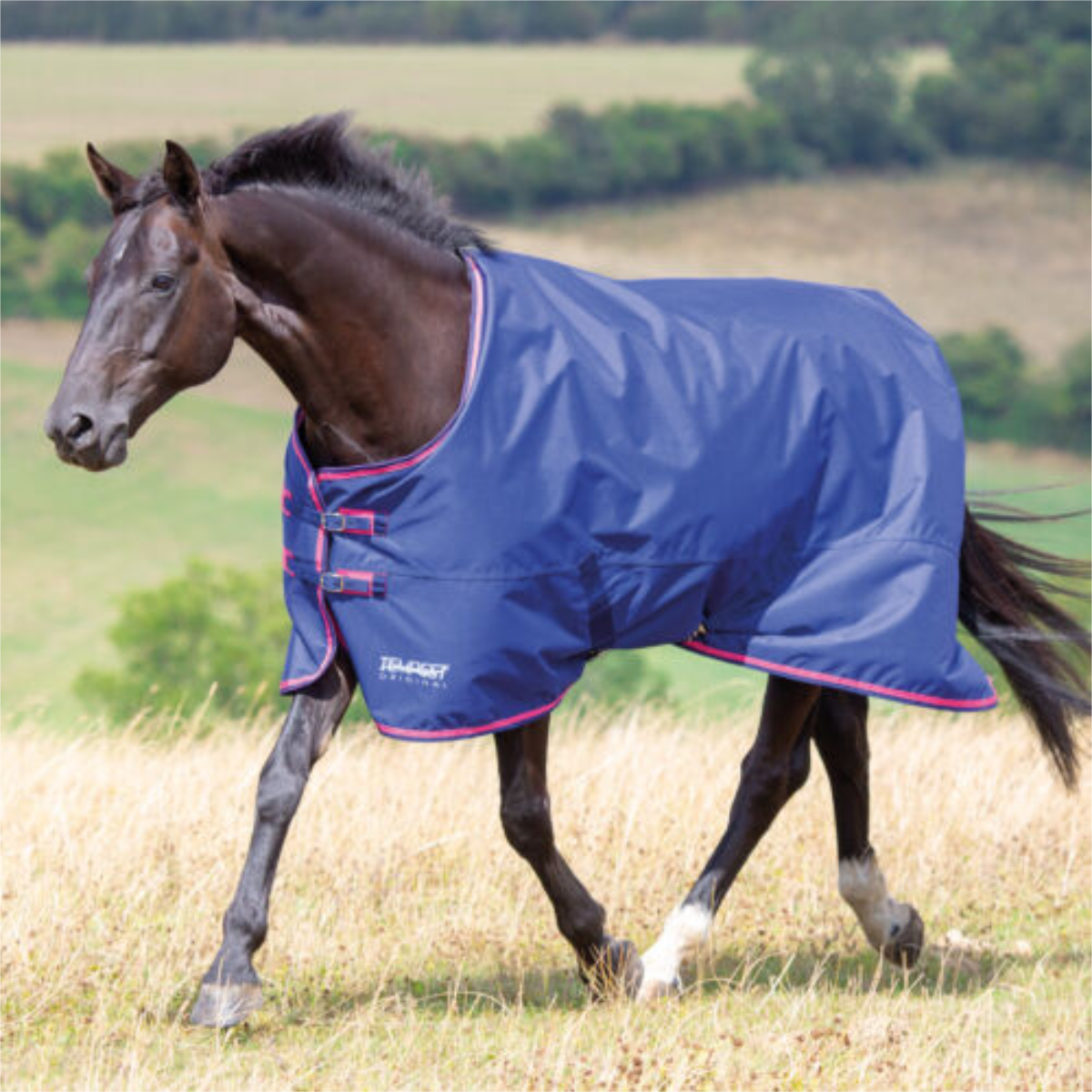 Shires Tempest Original 100g Navy/Pink Turnout Rug