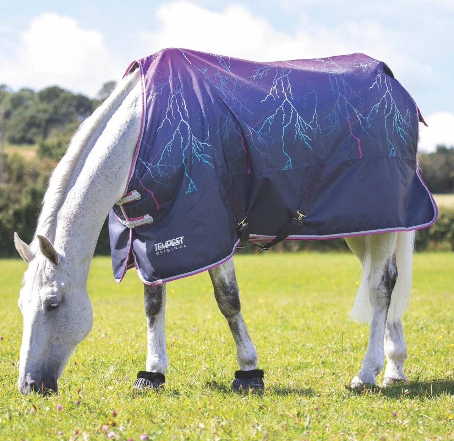 Shires Tempest Original 100g Purple Lightning Turnout