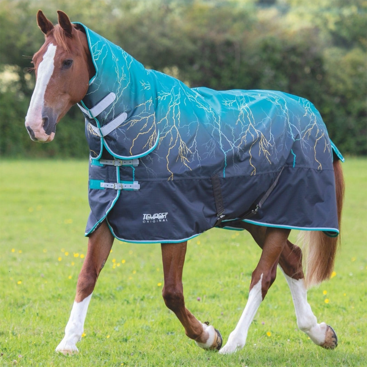 Shires Tempest Original 200g Teal Lightning Combo Turnout Rug