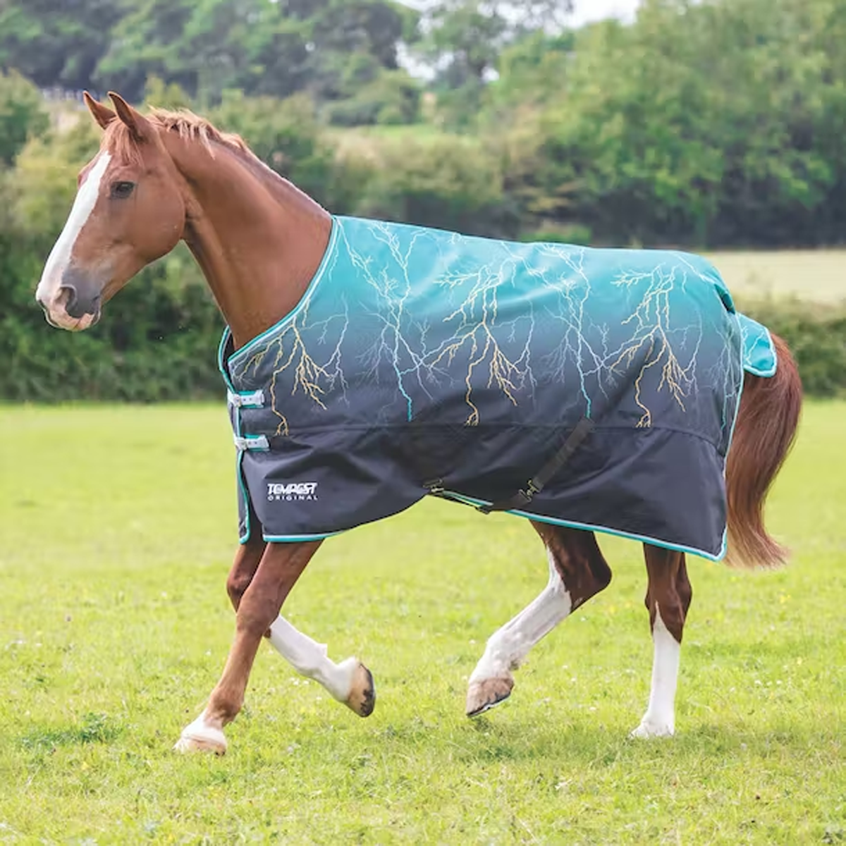 Shires Tempest Original 200g Teal Lightning Turnout Rug