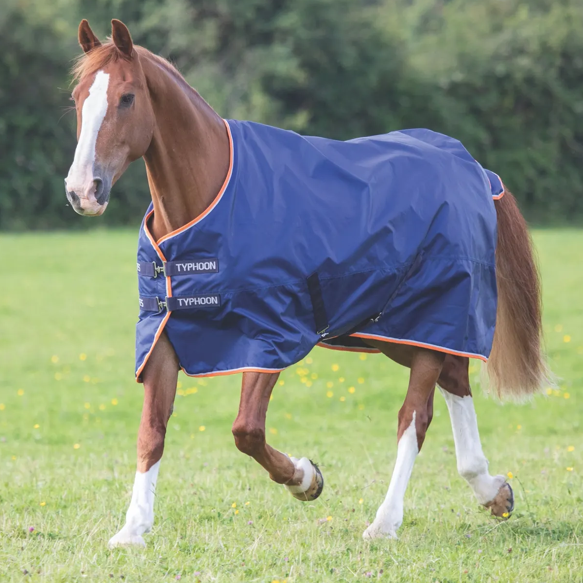 Shires Typhoon 100g Navy Turnout Rug