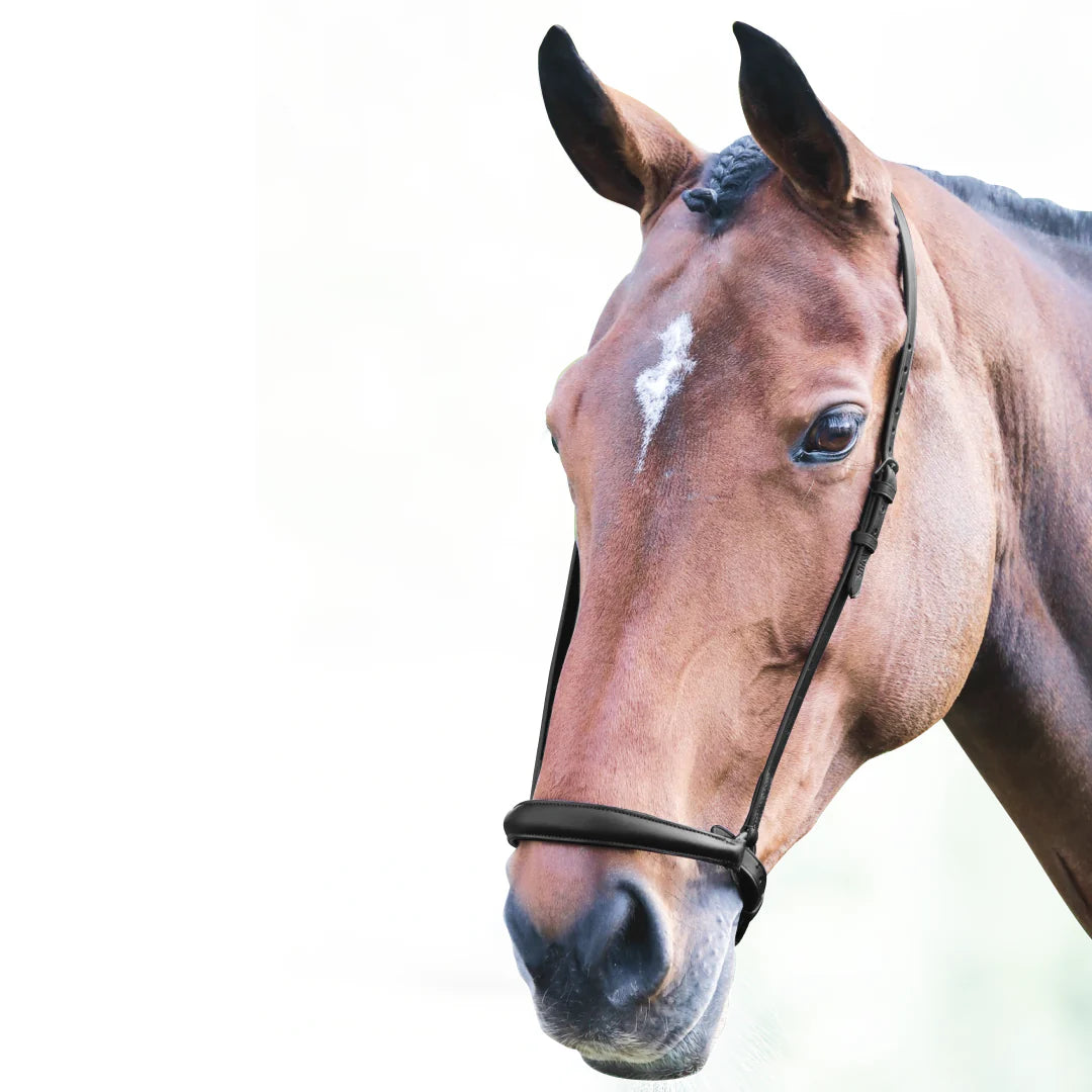 Shires Velociti Gara Black Drop Noseband