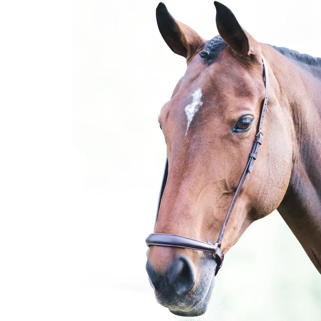 Shires Velociti Gara Havana Drop Noseband