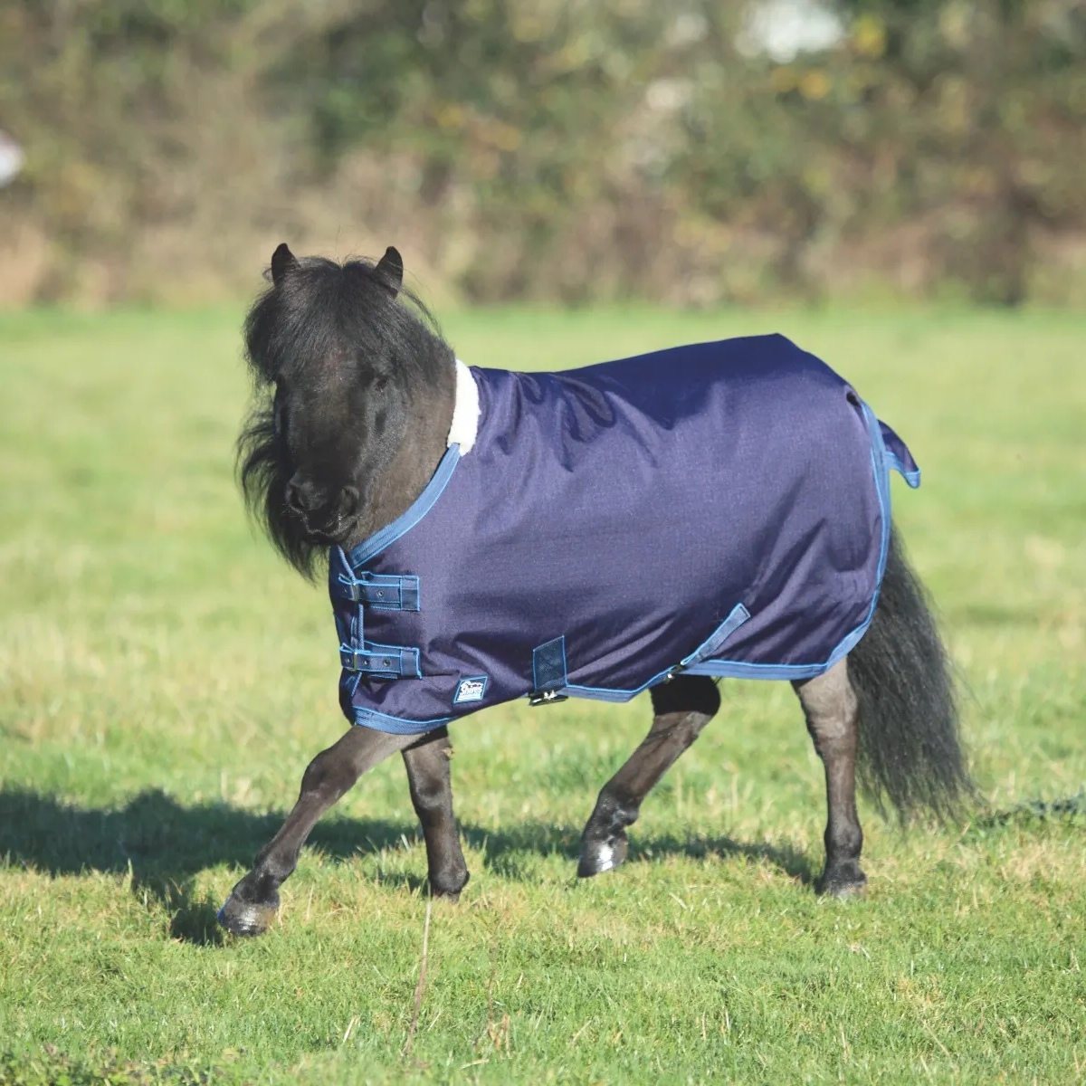 Shires Tempest Original Lite Mini Navy Turnout Rug