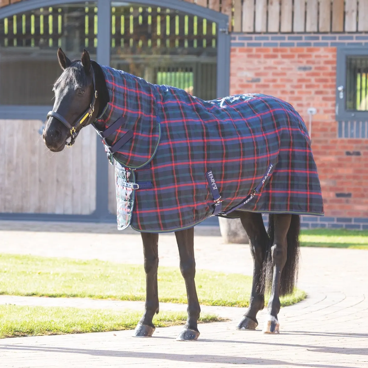 Shires Tempest Plus 100g Green Check Combo Stable Rug