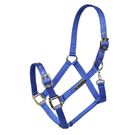 Shires Arma Blue Adjustable Headcollar