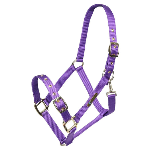 Shires Arma Purple Adjustable Headcollar