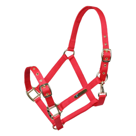 Shires Arma Red Adjustable Headcollar