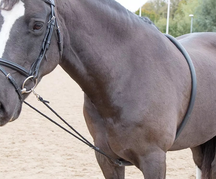 Shires Black Soft Lunging Aid