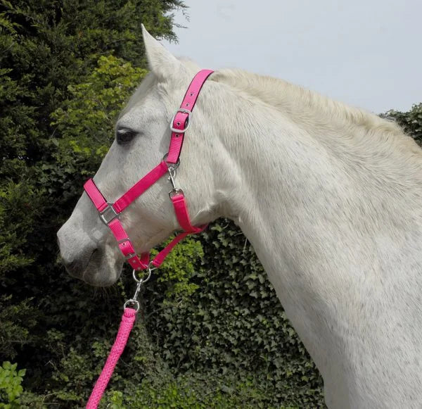 Rhinegold Carnival Bright Pink Headcollar & Rope Set