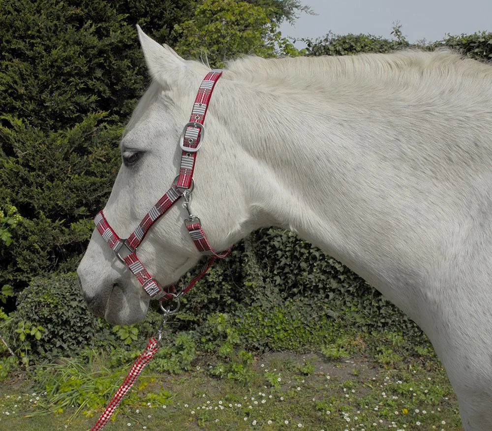 Rhinegold Carnival Red Check Headcollar & Rope Set