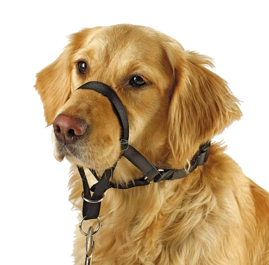 Kerbl Pet Maxi Coach Dog Training HeadCollar