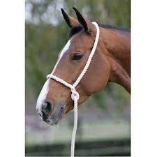 Elico White Rope Halter