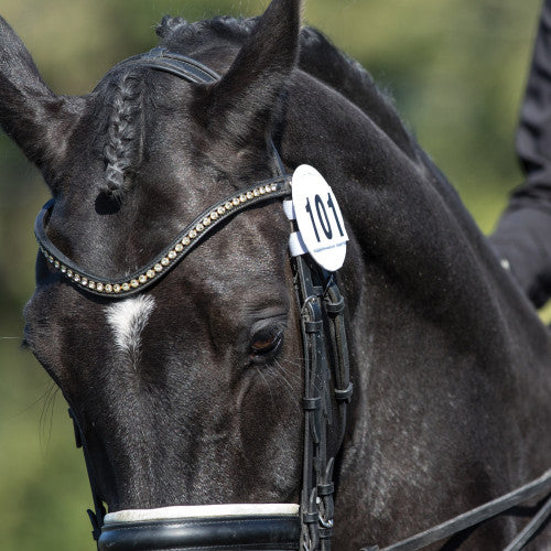 Equetech White Bridle Number Discs