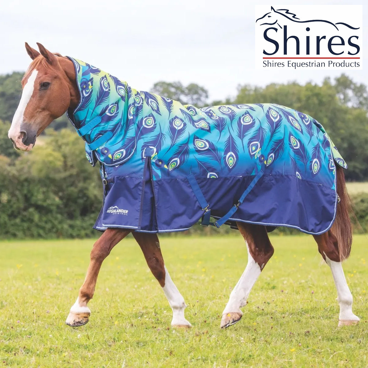 Shires Highlander Original 100g Lime Peacock Combo Turnout Rug