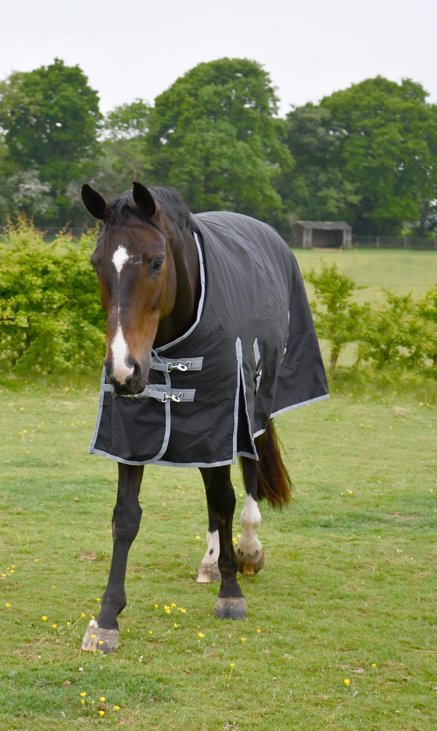 Rhinegold Black Konig Turnout Rug