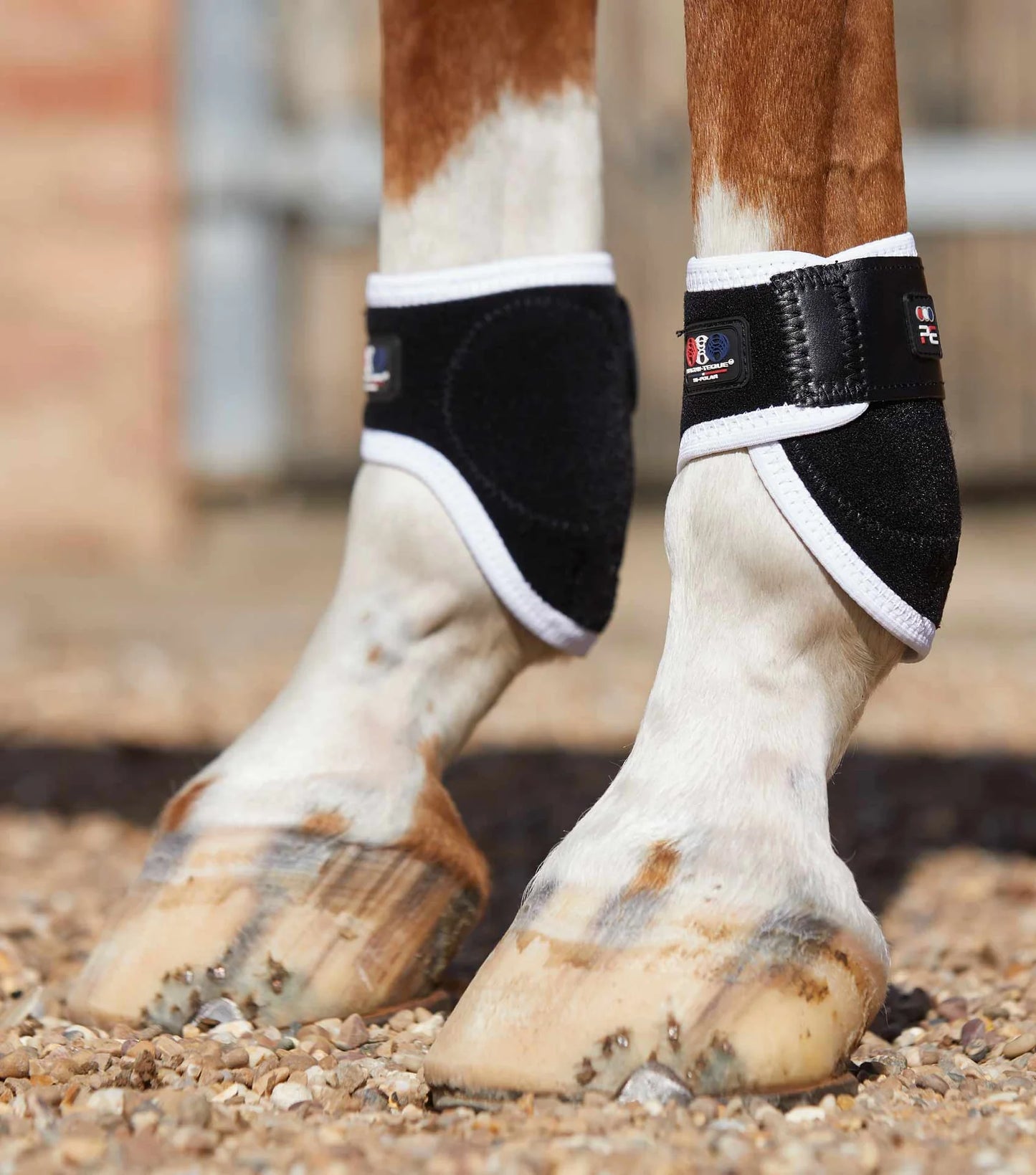 Premier Equine Bi-Polar Magni-Teque Black Fetlock Boots