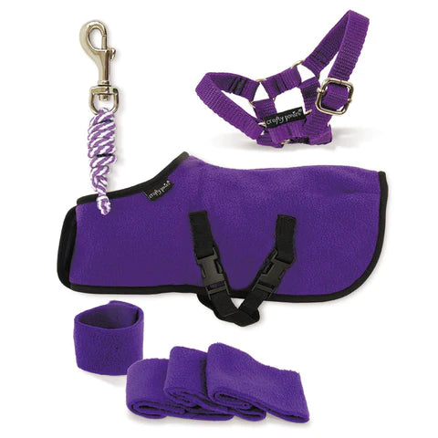 Crafty Ponys Fleece Rug Set Purple