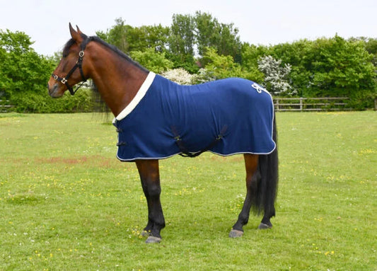 Rhinegold Navy Show Rug