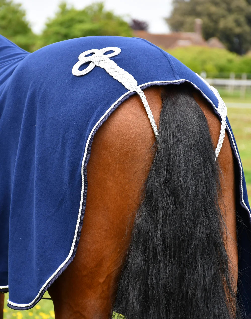 Rhinegold Navy Show Rug