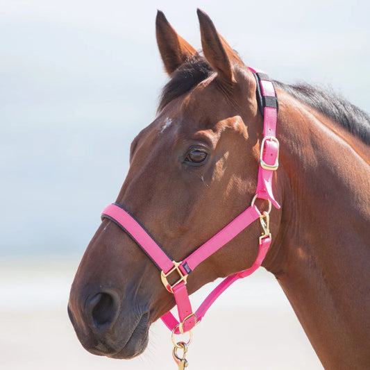 Shires Topaz Pink Nylon Headcollar