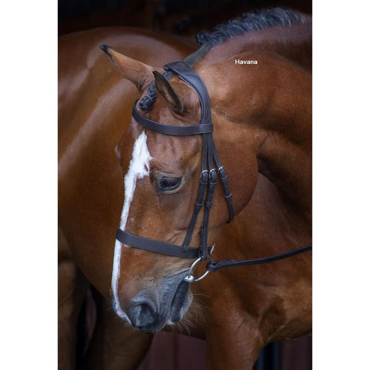 Shires Velociti Rapida Havana Hunter Cavesson Bridle