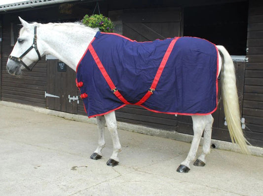 Rhinegold Navy/Red Summer Sheet