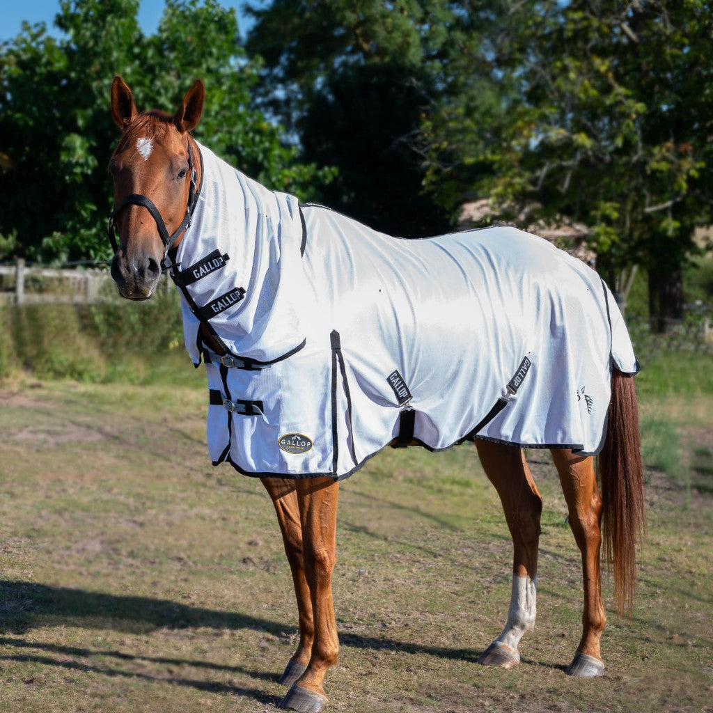 Gallop Equestrian Classic White Combo Fly Rug