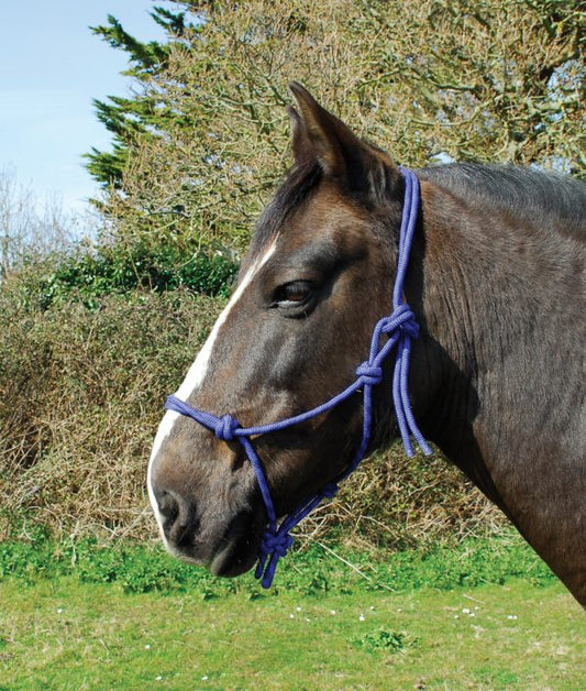 Rhinegold Royal Blue Rope Halter