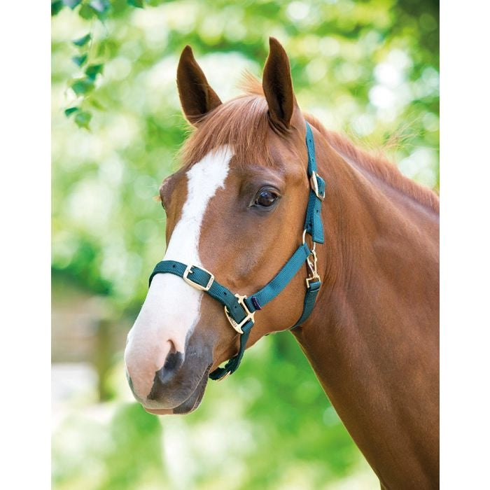 Shires Green Adjustable Headcollar