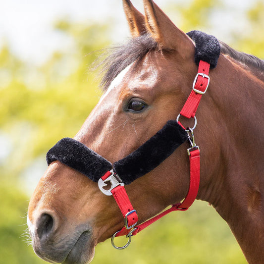 Shires Red Fleece Lined Headcollar