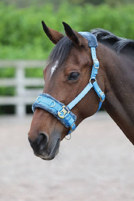 Shires Blue Fleece Lined Lunge Cavesson