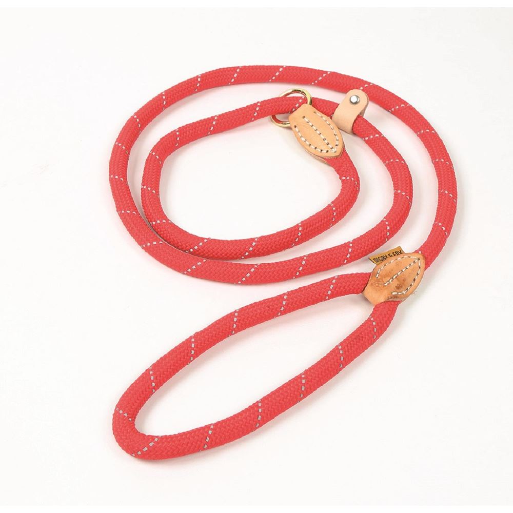 Digby And Fox Slip Dog Lead