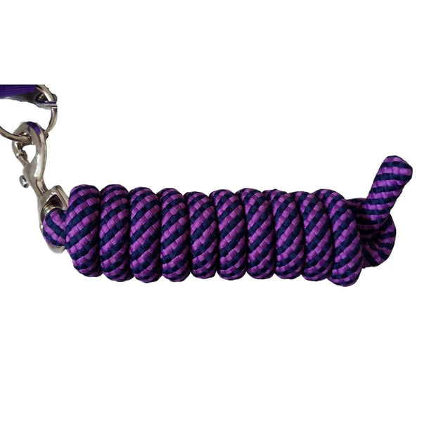 Cameo Headcollar/rope Set Purple/navy