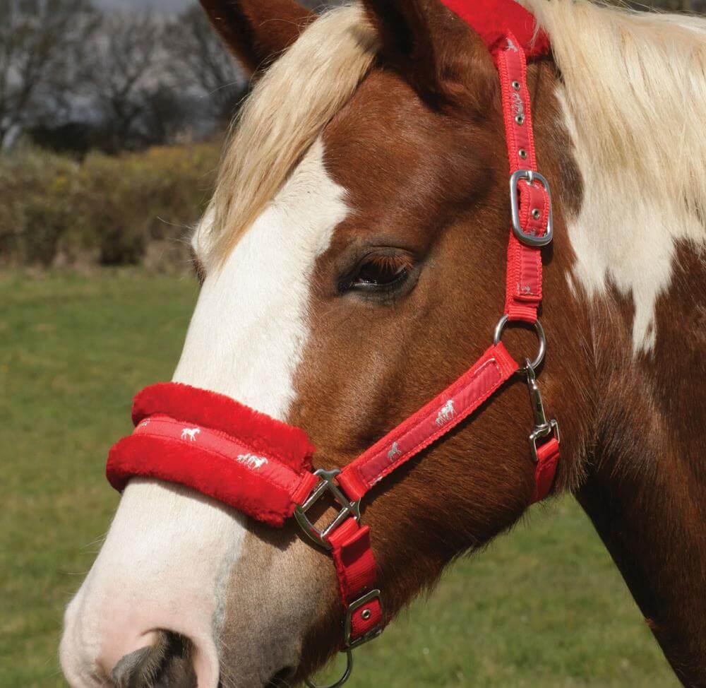 Rhinegold Red Fleece Trim Headcollar