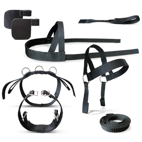 Crafty Pony Driving Harness