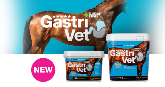 NAF Gastri Vet Pellets