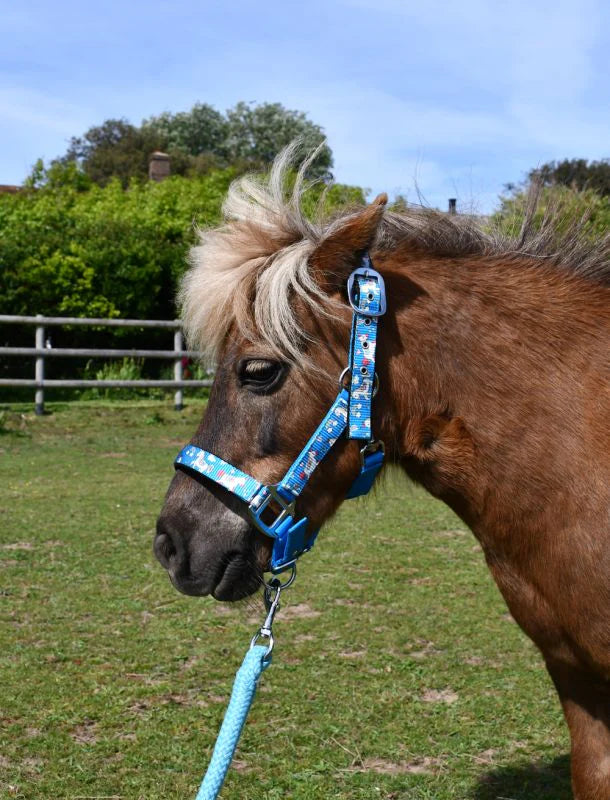 Rhinegold Turquoise Unicorn Headcollar & Leadrope