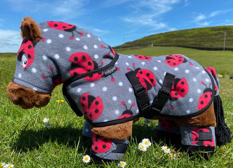 Crafty Pony Snuggle Set Lady Bird