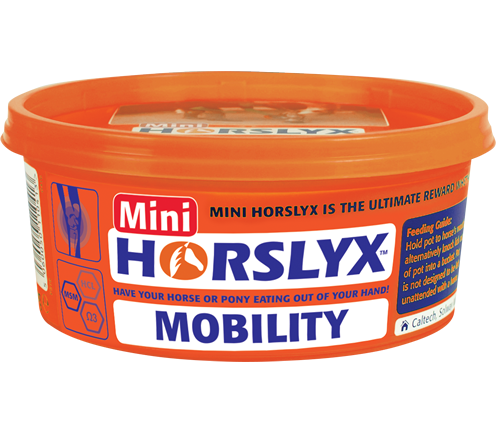 Mini Horselyx
