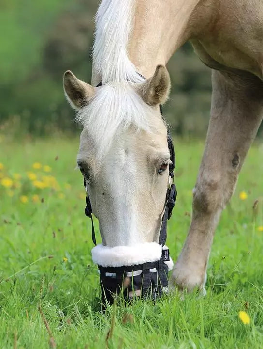 Shires Deluxe Comfort Black Grazing Muzzle