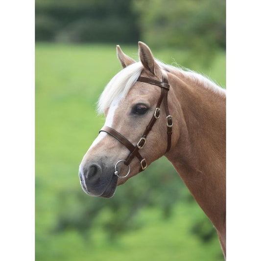 Shires Plain Havana Inhand Bridle