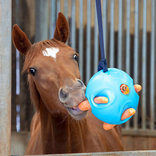 Horse Carrot Ball Toy