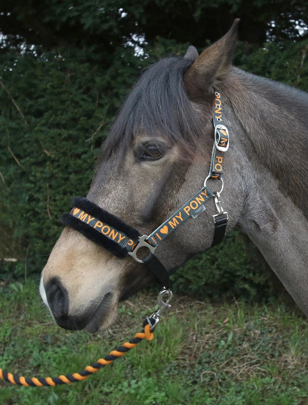 Rhinegold Tangerine Love My Pony Headcollar & Rope