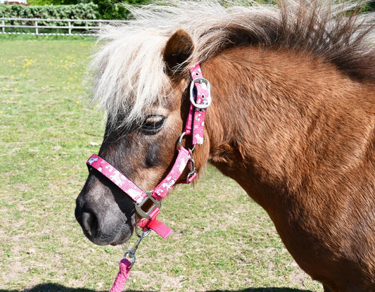 Rhinegold Raspberry Unicorn Headcollar & Leadrope