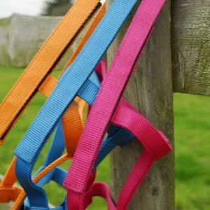 Rhinegold Tangerine Field Safe Headcollar