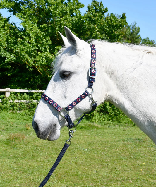 Rhinegold Navy Aztec Headcollar & Rope Set